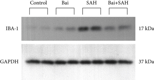 Details are in the caption following the image Details are in the caption following the image
