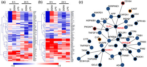 Pathogen-induced inflammation is attenuated by the iminosugar MON-DNJ via modulation of the unfolded protein response