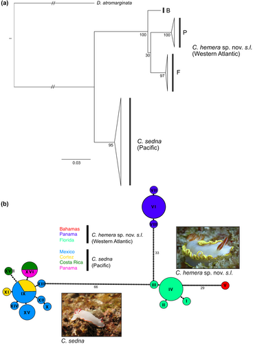 Details are in the caption following the image Details are in the caption following the image