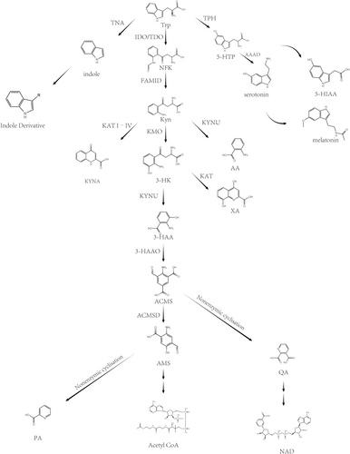 Details are in the caption following the image Details are in the caption following the image