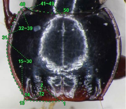 Details are in the caption following the image