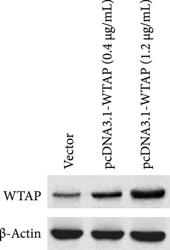 Details are in the caption following the image