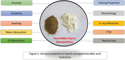 Acid Hydrolyzed Pearl Millet Starch Nanoparticles: Synthesis and Characterization