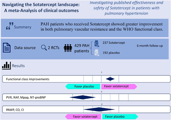 Navigating the Sotatercept landscape: A meta-analysis of clinical outcomes