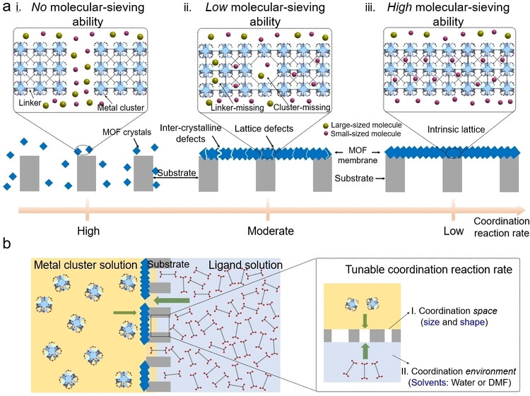 Confined-Coordination Induced Intergrowth of Metal–Organic Frameworks into Precise Molecular Sieving Membranes