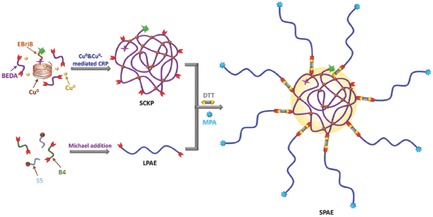 Star Polymers from Single-Chain Cyclized/Knotted Nanoparticles as a Core