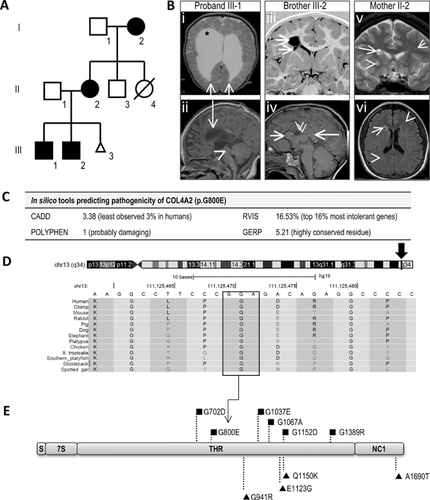 Details are in the caption following the image Details are in the caption following the image