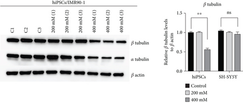 Details are in the caption following the image