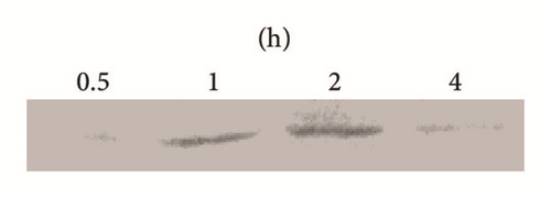 Details are in the caption following the image
