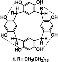 A Non-Peptidic Ion Channel with K+ Selectivity
