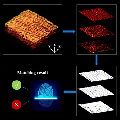 High-security photoacoustic identity recognition by capturing hierarchical vascular structure of finger