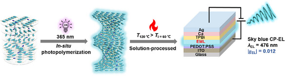 Chiral Co-Assembled Liquid Crystal Polymer Network Enabled by In-Situ Photopolymerization for High-Performance CP-OLEDs