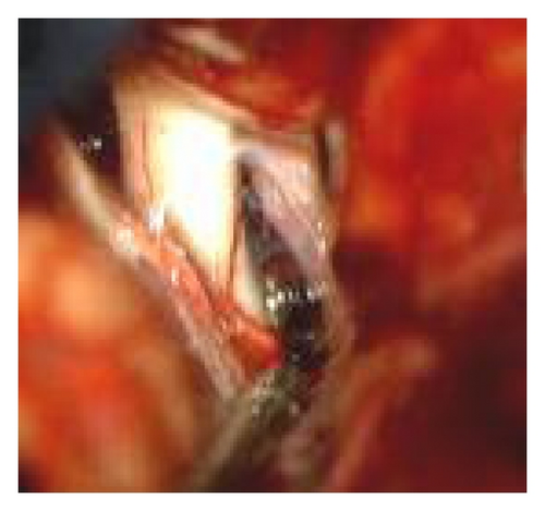 Details are in the caption following the image Details are in the caption following the image