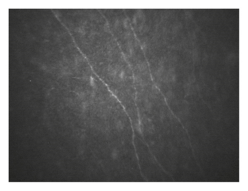 Details are in the caption following the image