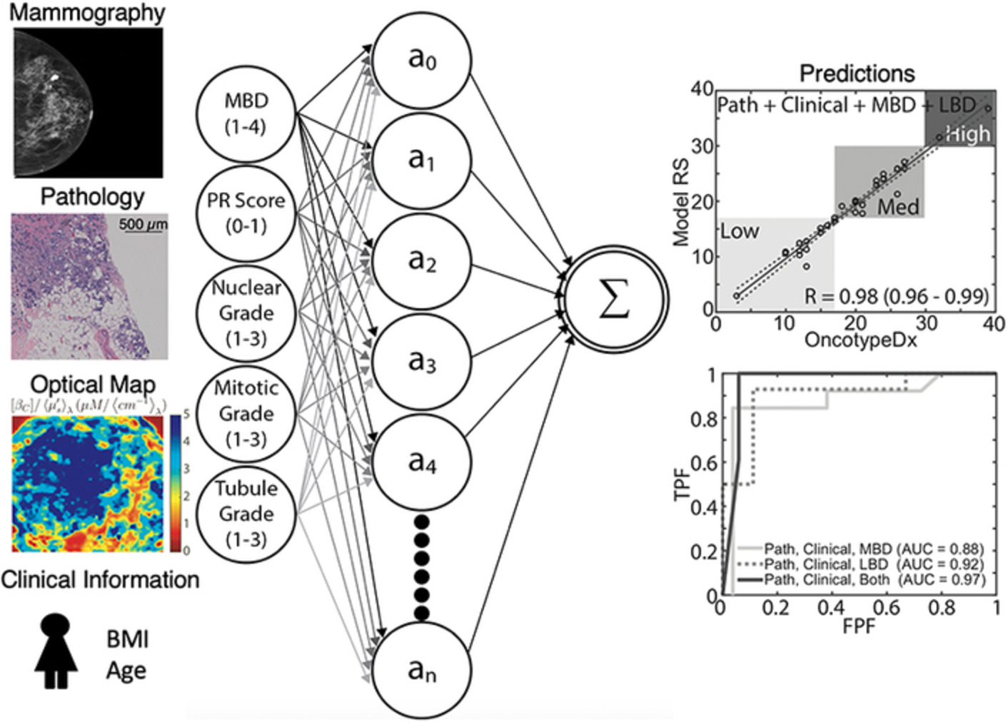 Quantitative assessment of distant recurrence risk in early stage breast cancer using a nonlinear combination of pathological, clinical and imaging variables