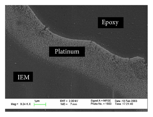 Details are in the caption following the image