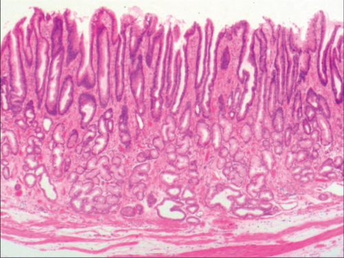 Details are in the caption following the image Details are in the caption following the image