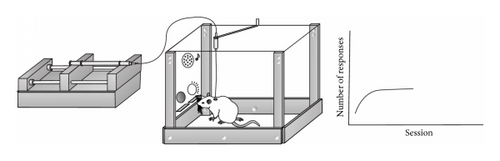 Details are in the caption following the image