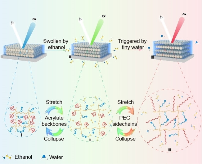 Brush-Like Polymeric Gels Enabled Photonic Crystals toward Ultrasensitive Cosolvent Chromism