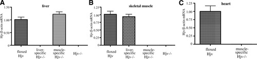 Details are in the caption following the image