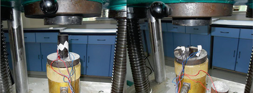 Details are in the caption following the image Details are in the caption following the image