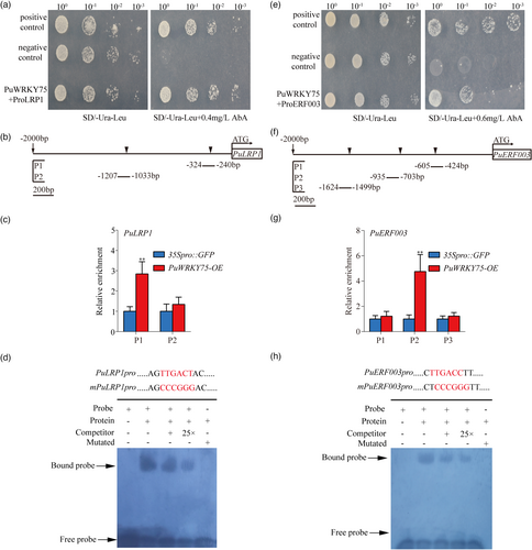 Details are in the caption following the image Details are in the caption following the image