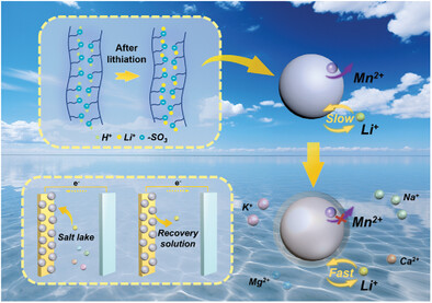 Stable Electrochemical Lithium Extraction Using LiMn2O4 Coated With Lithiated Nafion
