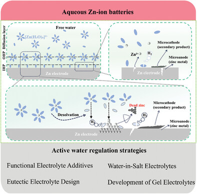 Active Water Optimization in Different Electrolyte Systems for Stable Zinc Anodes