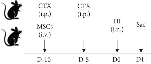 Details are in the caption following the image Details are in the caption following the image