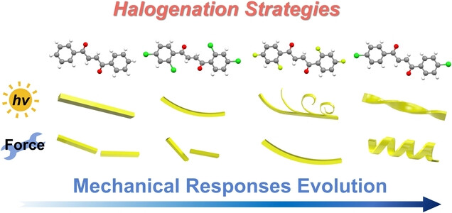 Strategies to Diversification of the Mechanical Properties of Organic Crystals
