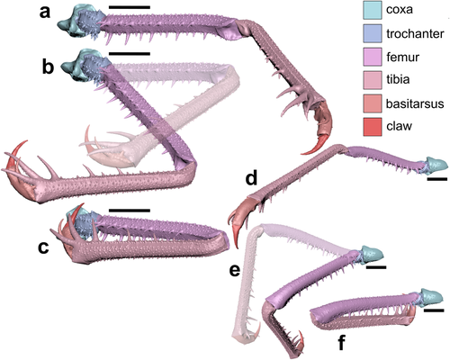 Details are in the caption following the image Details are in the caption following the image