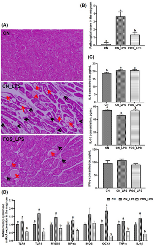 Details are in the caption following the image Details are in the caption following the image