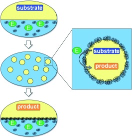 Microgel-Stabilized Smart Emulsions for Biocatalysis