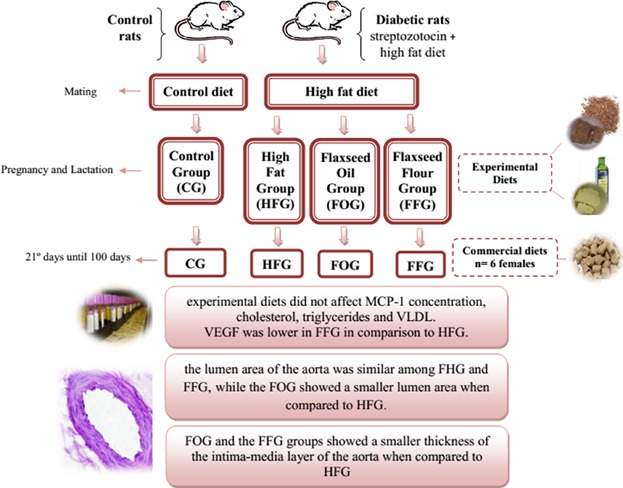 Maternal use of a diet rich omega-3 from flaxseed improves aortic remodeling but not the biochemical parameters of female offspring of diabetic rats