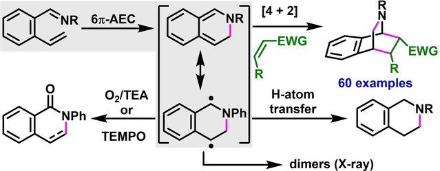Interception and Synthetic Application of Diradical and Diene Forms of Dual-Nature Azabicyclic o-Quinodimethanes Generated by 6π-Azaelectrocyclization