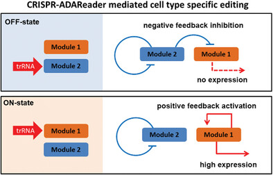 Precision Control of Cell Type-Specific Behavior via RNA Sensing and Editing