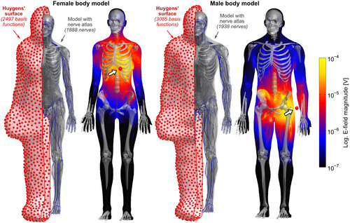 Details are in the caption following the image Details are in the caption following the image