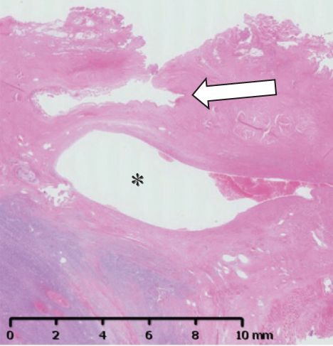 Details are in the caption following the image