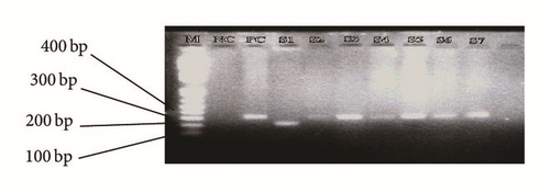 Details are in the caption following the image