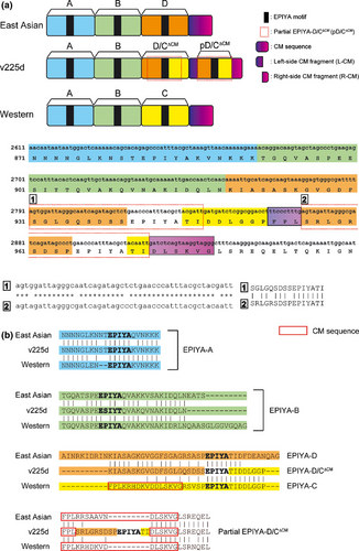Details are in the caption following the image Details are in the caption following the image