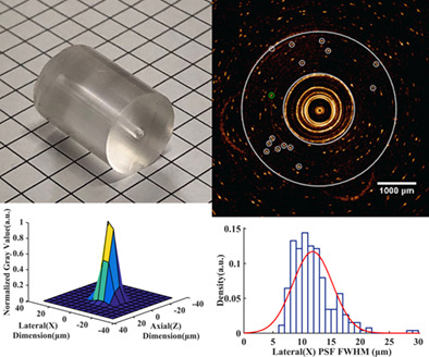 A spatial resolution evaluation method of endoscopic optical coherence tomography system using the annular phantom