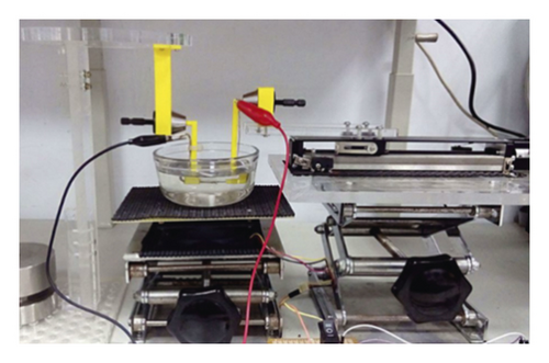 Details are in the caption following the image Details are in the caption following the image
