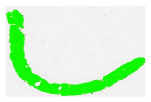 Details are in the caption following the image