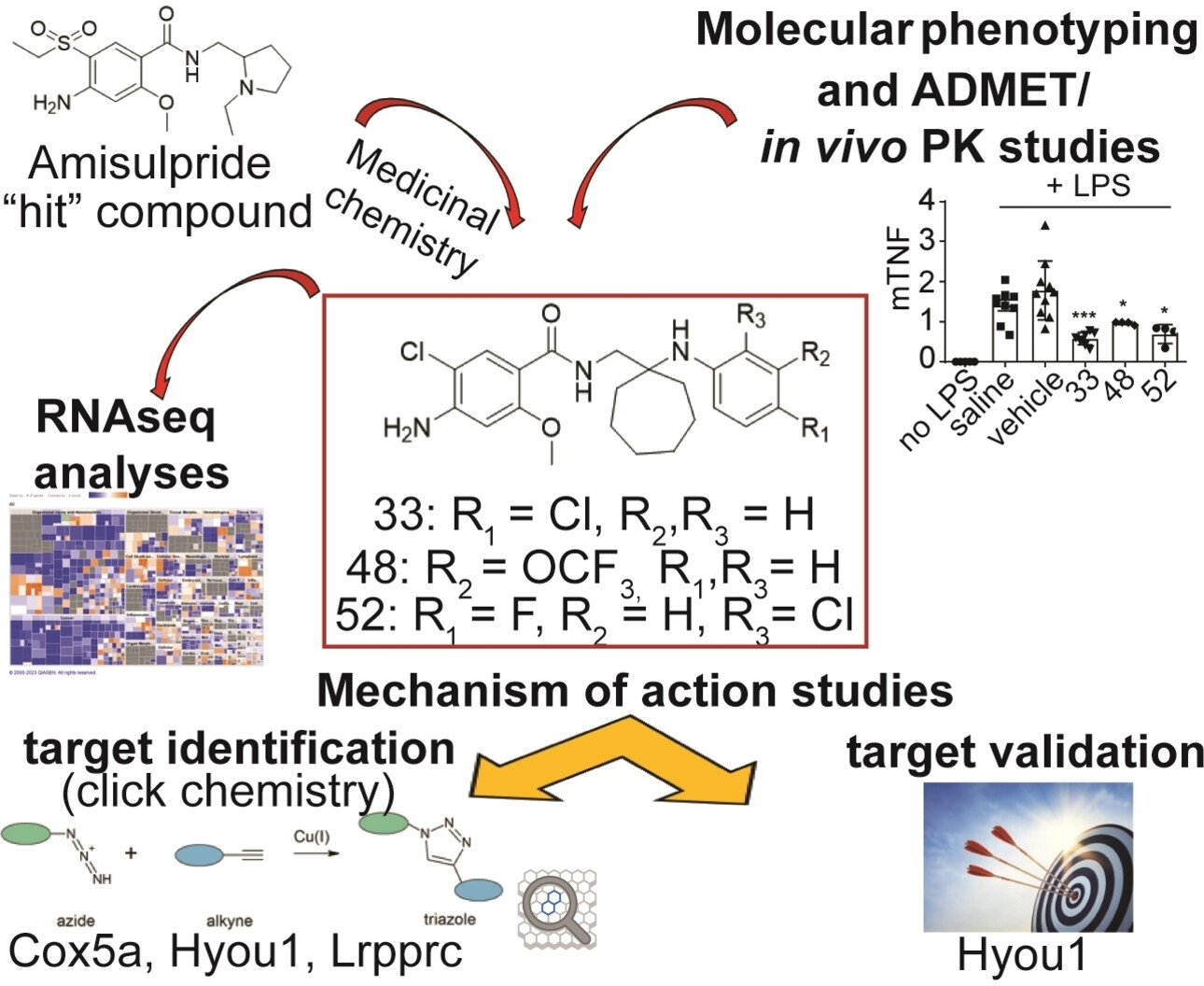 Discovery of the First-in-Class Inhibitors of Hypoxia Up-Regulated Protein 1 (HYOU1) Suppressing Pathogenic Fibroblast Activation