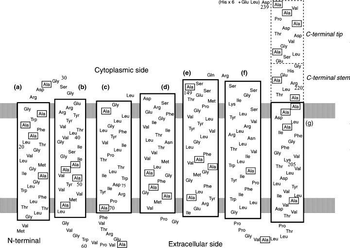Details are in the caption following the image Details are in the caption following the image
