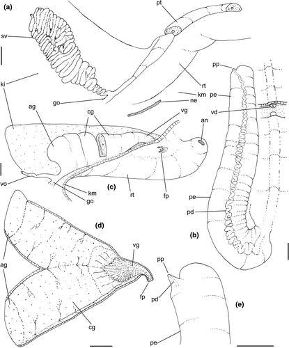 Details are in the caption following the image Details are in the caption following the image