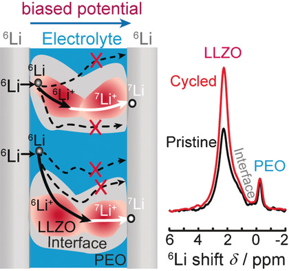 Lithium Ion Pathway within Li7La3Zr2O12-Polyethylene Oxide Composite Electrolytes