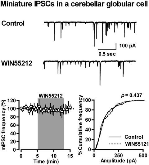 Endocannabinoids regulate cerebellar GABAergic transmission in a synapse type-dependent manner