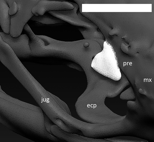 Details are in the caption following the image Details are in the caption following the image