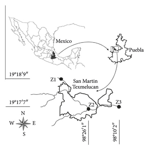 Details are in the caption following the image